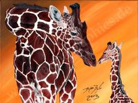 Giraffenportrait, Tierportrait